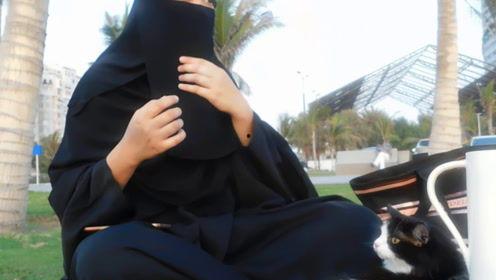 娱乐吃瓜君直播